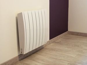 Radiateur à inertie